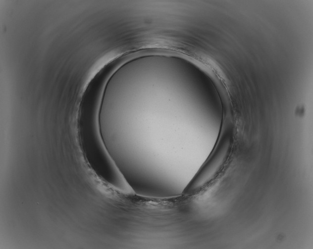 X0000091061138200708201339