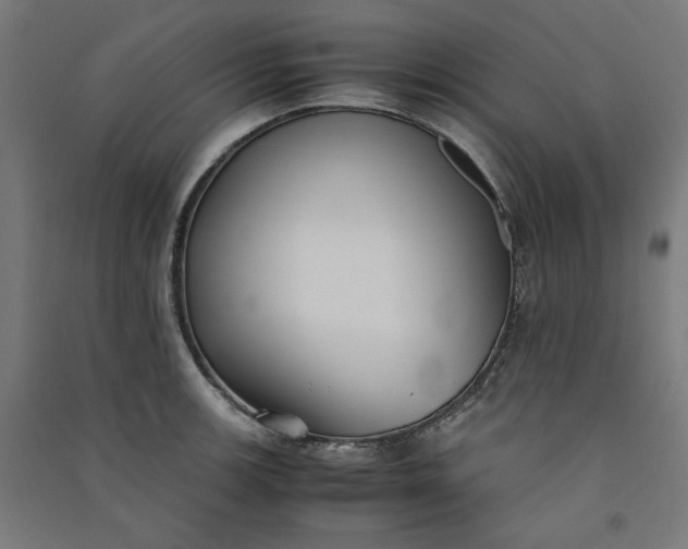 X0000091061139200708201339