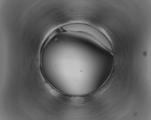 X0000091061140200708201339