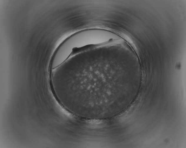 X0000091061141200708201339