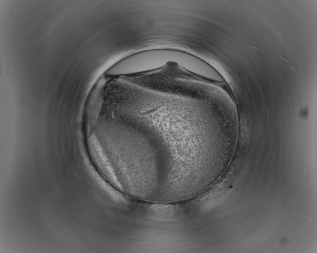 X0000091061142200708201339