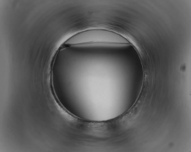 X0000091061143200708201339