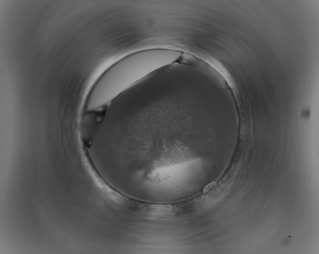 X0000091061144200708201339