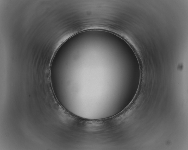 X0000091061145200708201339