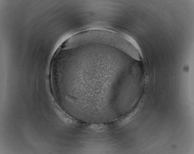 X0000091061146200708201339