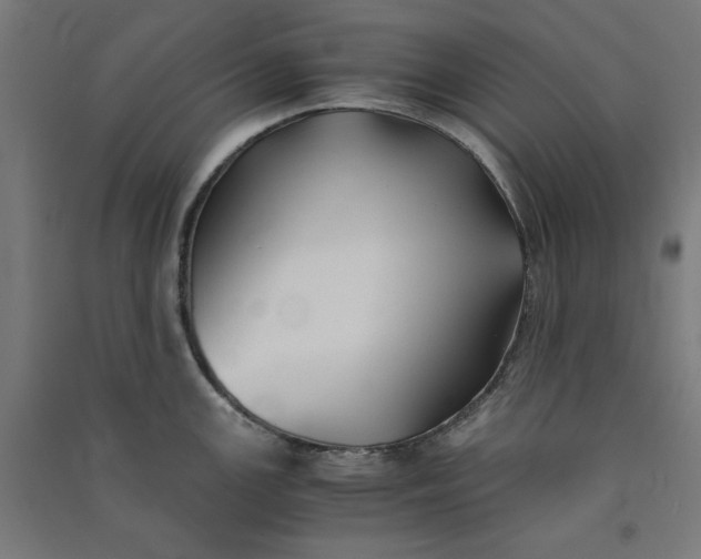 X0000091061147200708201339