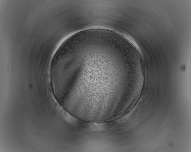 X0000091061148200708201339