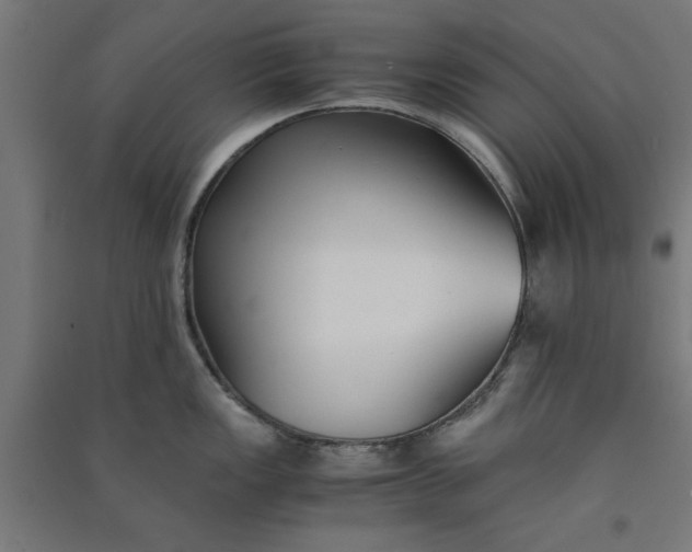 X0000091061149200708201339