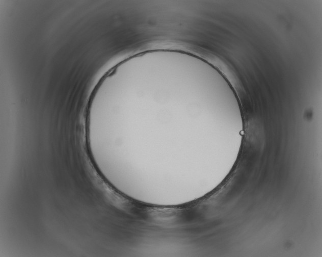 X0000091061150200708201339