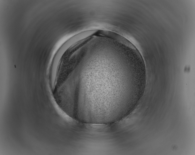 X0000091061152200708201339
