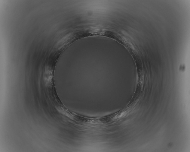 X0000091061154200708201338