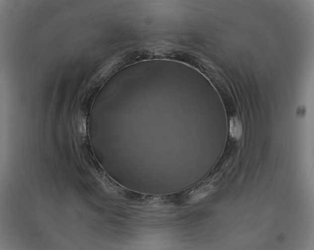 X0000091061155200708201338
