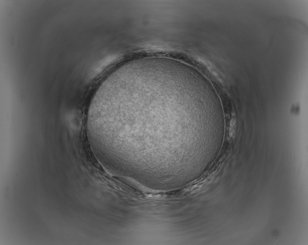 X0000091061157200708201338