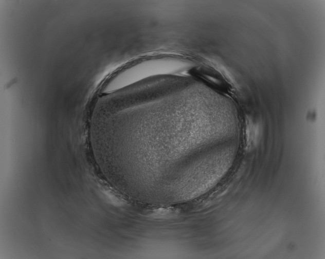X0000091061160200708201338