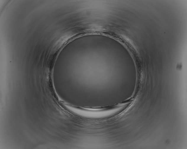 X0000091061161200708201338
