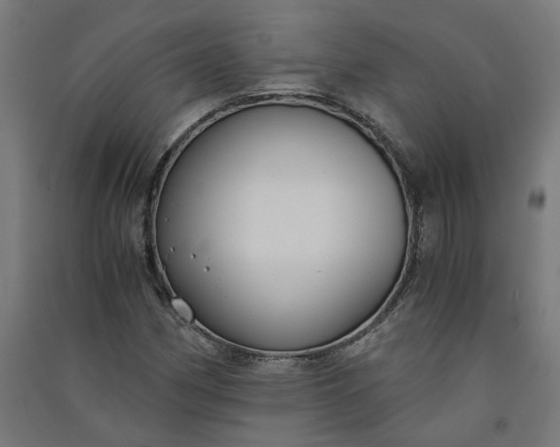 X0000091061162200708201338