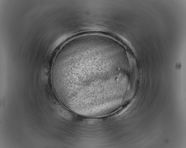 X0000091061163200708201338