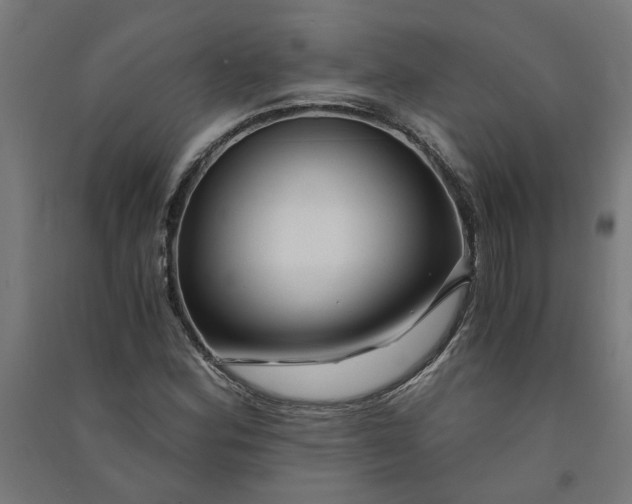 X0000091061164200708201338