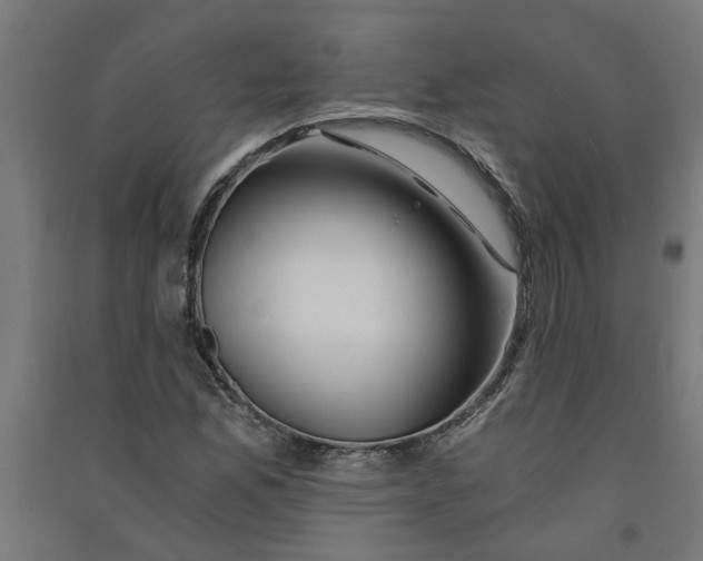 X0000091061165200708201338