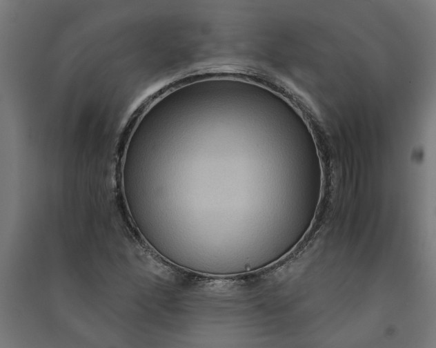 X0000091061166200708201338