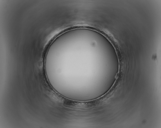 X0000091061167200708201338