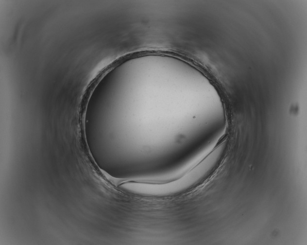 X0000091061168200708201338