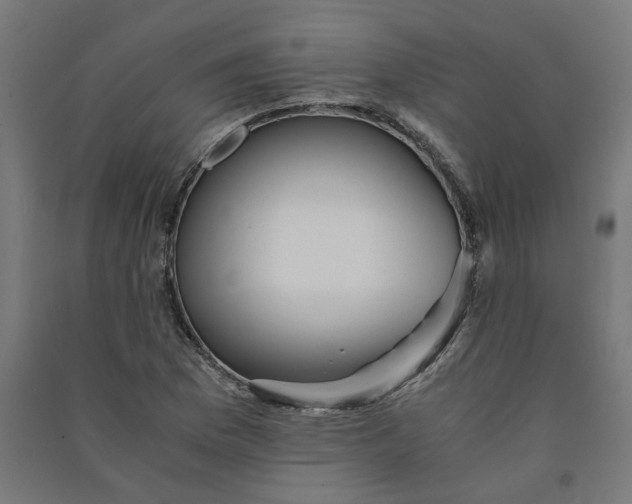 X0000091061169200708201338