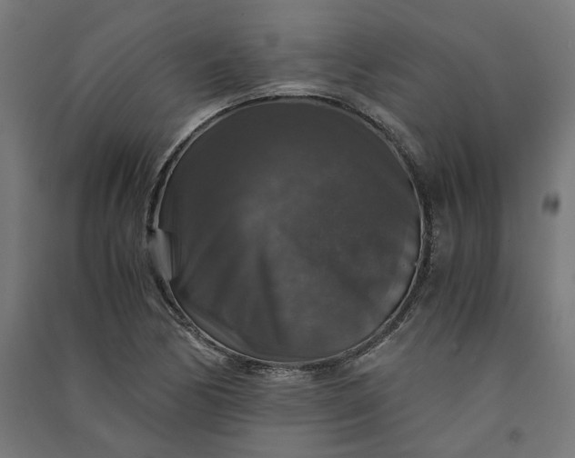 X0000091061170200708201338