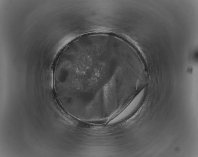 X0000091061171200708201338