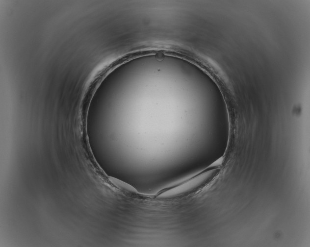 X0000091061172200708201338