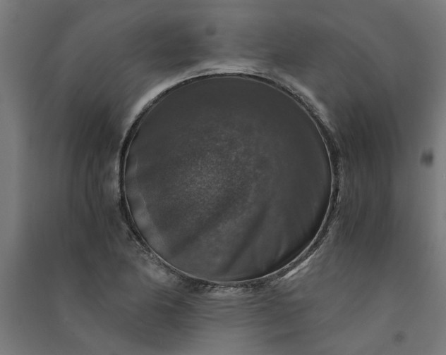 X0000091061174200708201338