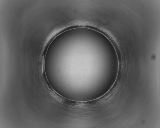 X0000091061175200708201338
