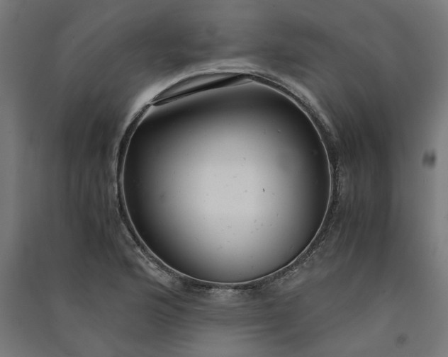 X0000091061176200708201338