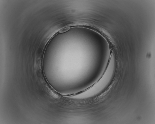 X0000091061177200708201338