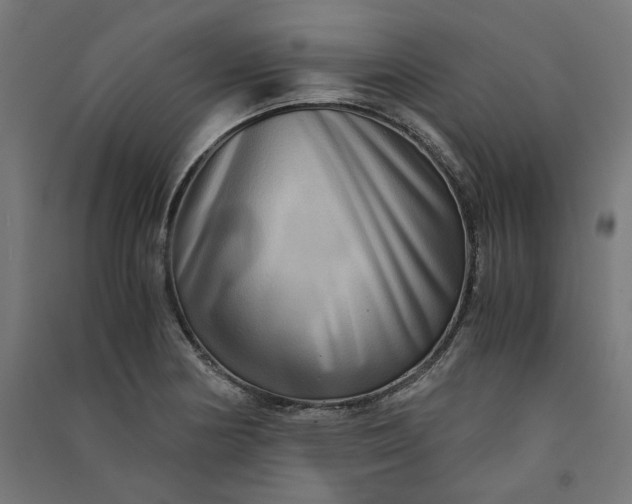 X0000091061178200708201338
