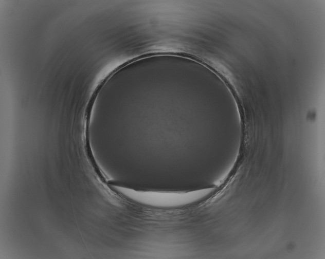 X0000091061179200708201338