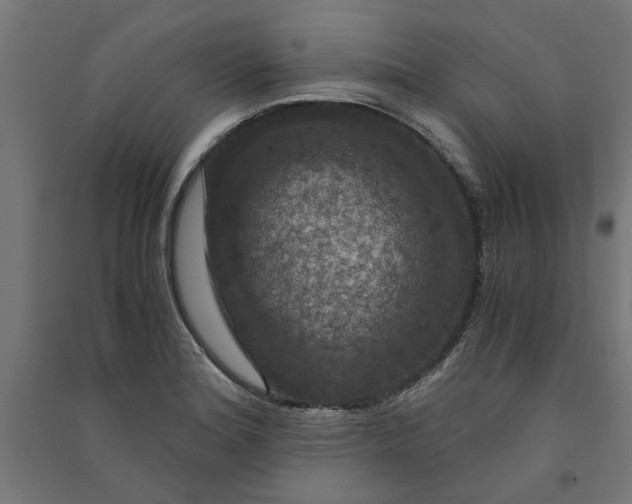 X0000091061180200708201338