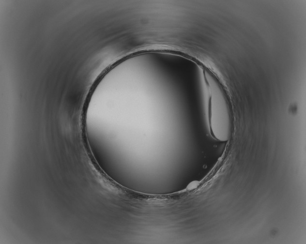 X0000091061181200708201338