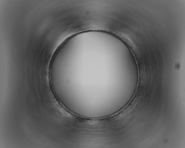 X0000091061182200708201338