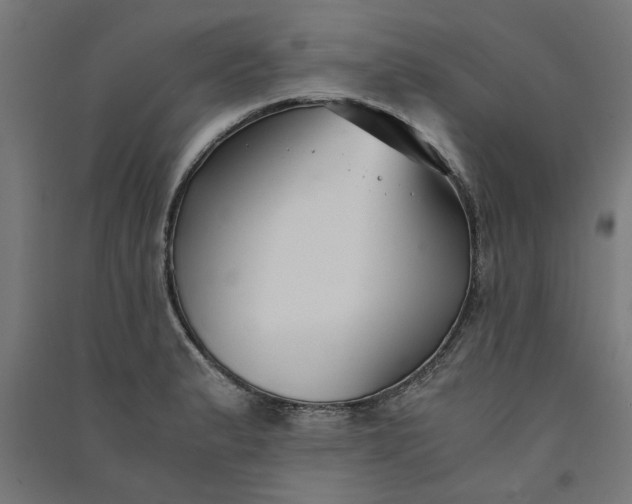X0000091061183200708201338