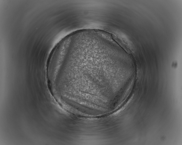 X0000091061184200708201338