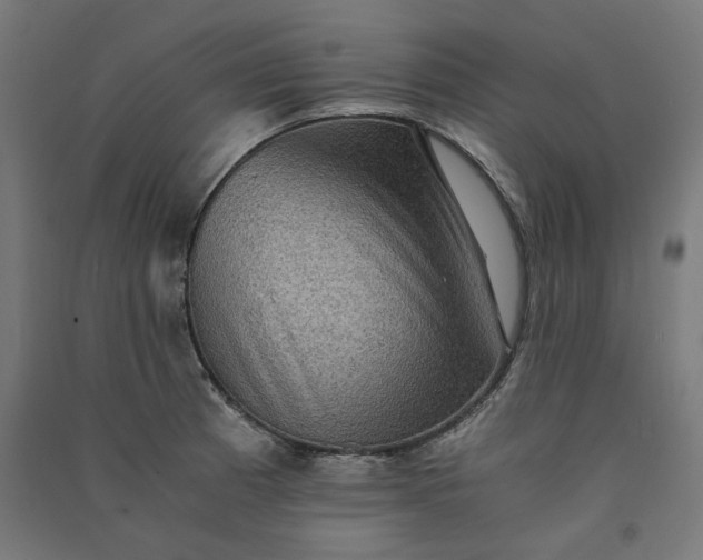 X0000091061185200708201338