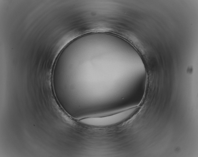 X0000091061186200708201338