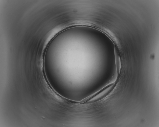 X0000091061188200708201338