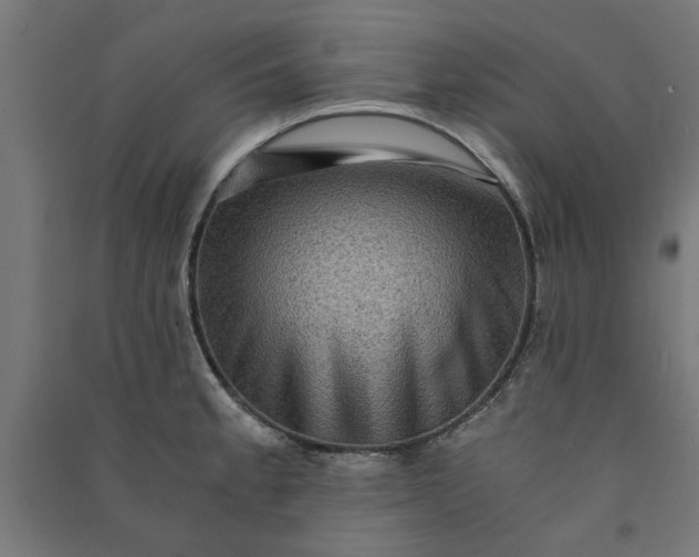 X0000091061189200708201338