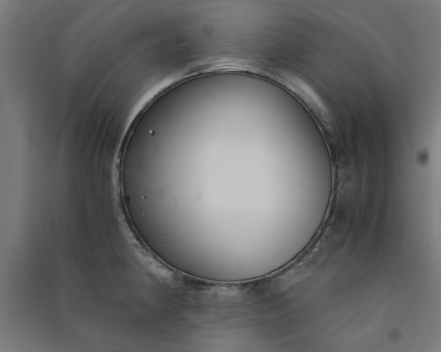 X0000091061190200708201338