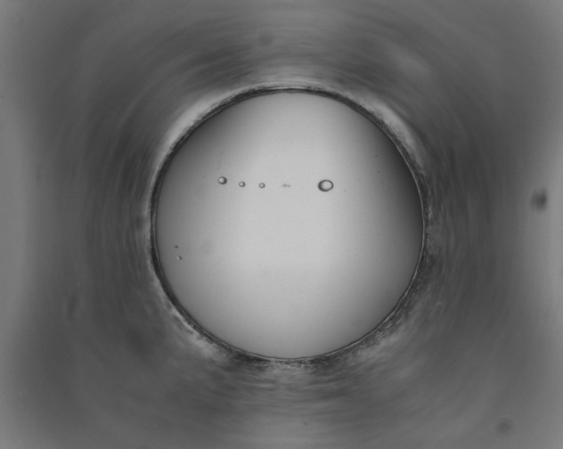 X0000091061191200708201338