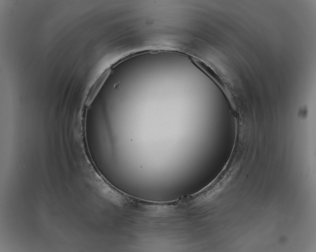 X0000091061192200708201338
