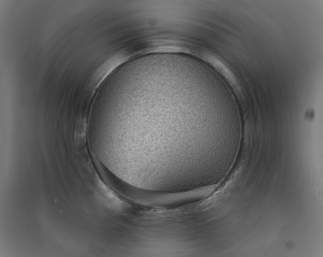 X0000091061193200708201338