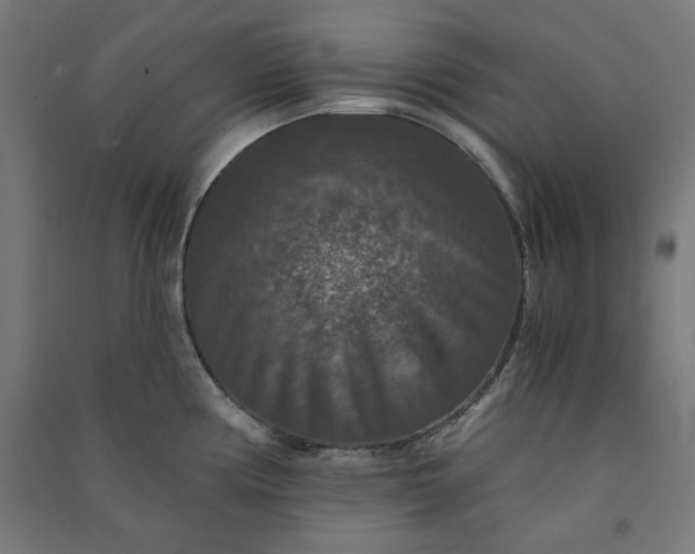 X0000091061194200708201338